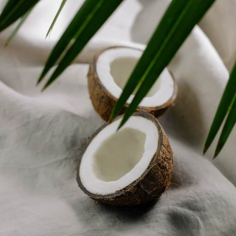 Bamboo Coconut Melt